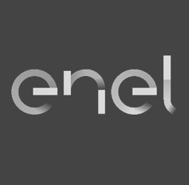 Logo Enel.jpg