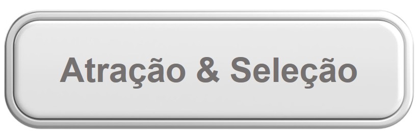 Botão R&R HG.jpg